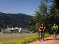  -  - Bild 1