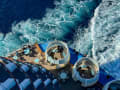 -  - Bild 1