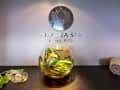  -  - Bild 1