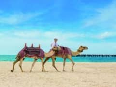 Verenigde Arabische Emiraten Cruise