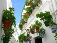 Guadalquivir Cruzeiro - Bild 1