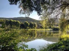 Loire Cruzeiro - Bild 1