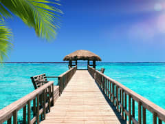 Un ponton en bois mène sur une mer turquoise à une île tropicale aux palmiers baignés de soleil
