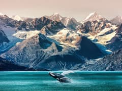 Alaska Crucero - Bild 1