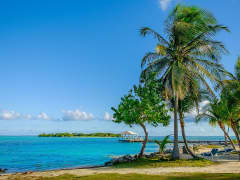 Southern Caribbean Cruise - Picture 1