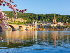 Schlossblick und Altstadtcharme – ein Klassiker jeder Neckar-Kreuzfahrt