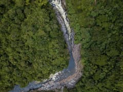 Magdalena River Cruise - Picture 1