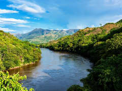 Fleuve Magdalena Croisière - Image 1