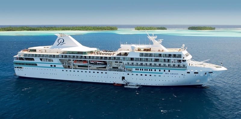 m/s ポール・ゴーギャン