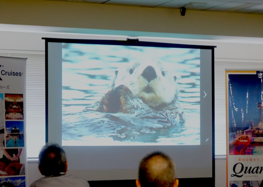 野生動物写真家、安藤誠氏が語る「氷河だけではないアラスカクルーズの魅力」