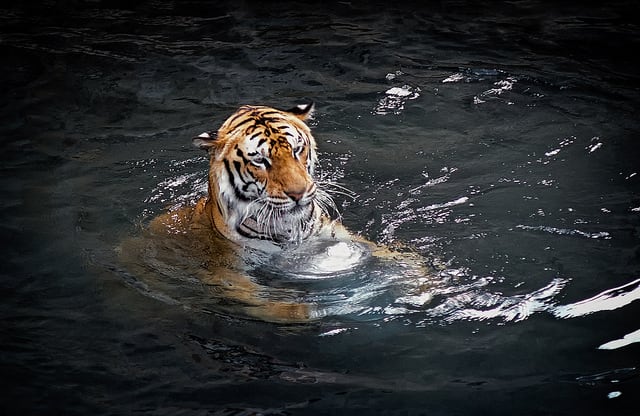 シルバーシー、初となるバングラデシュ寄港