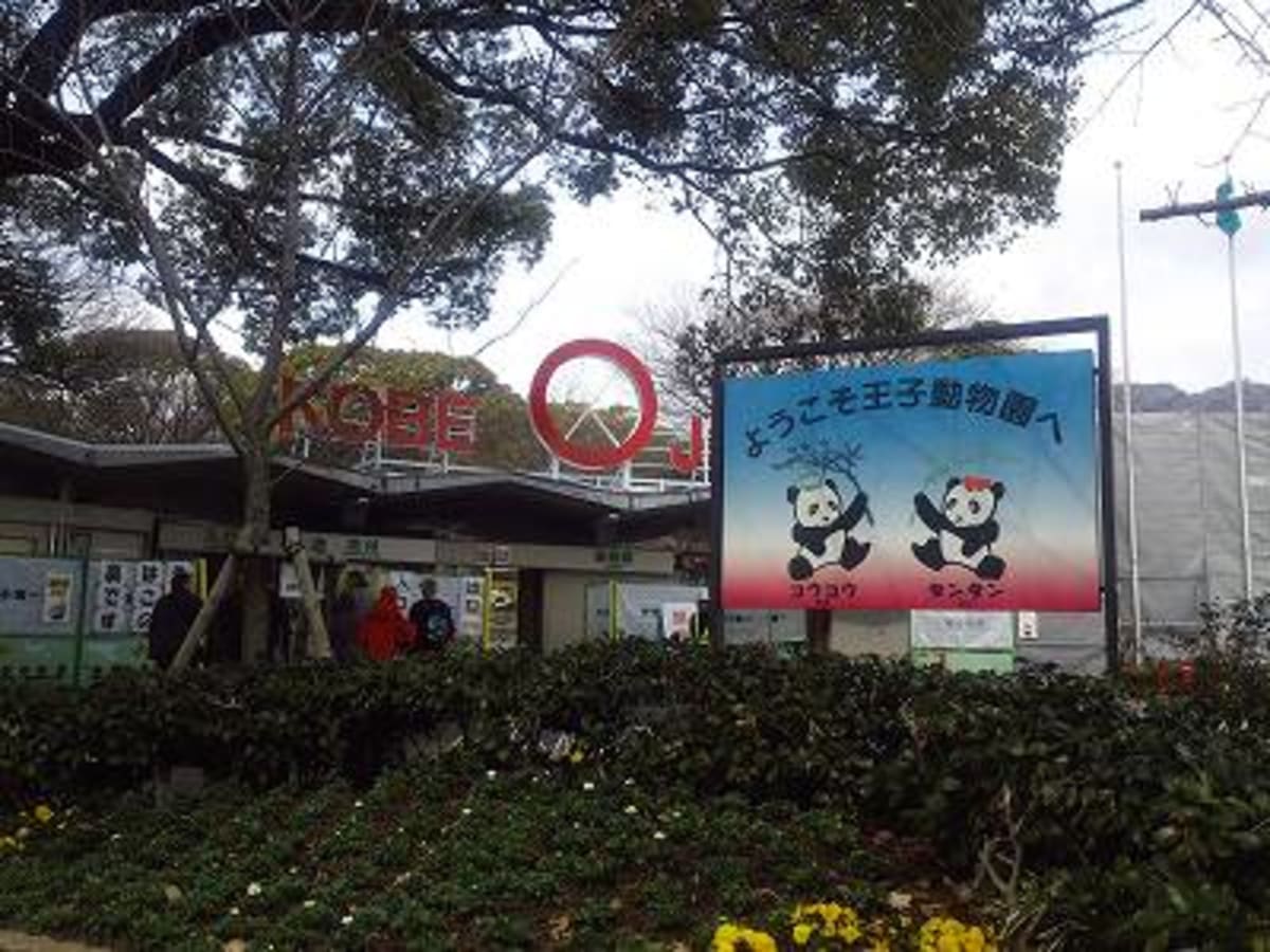 神戸市立王子動物園