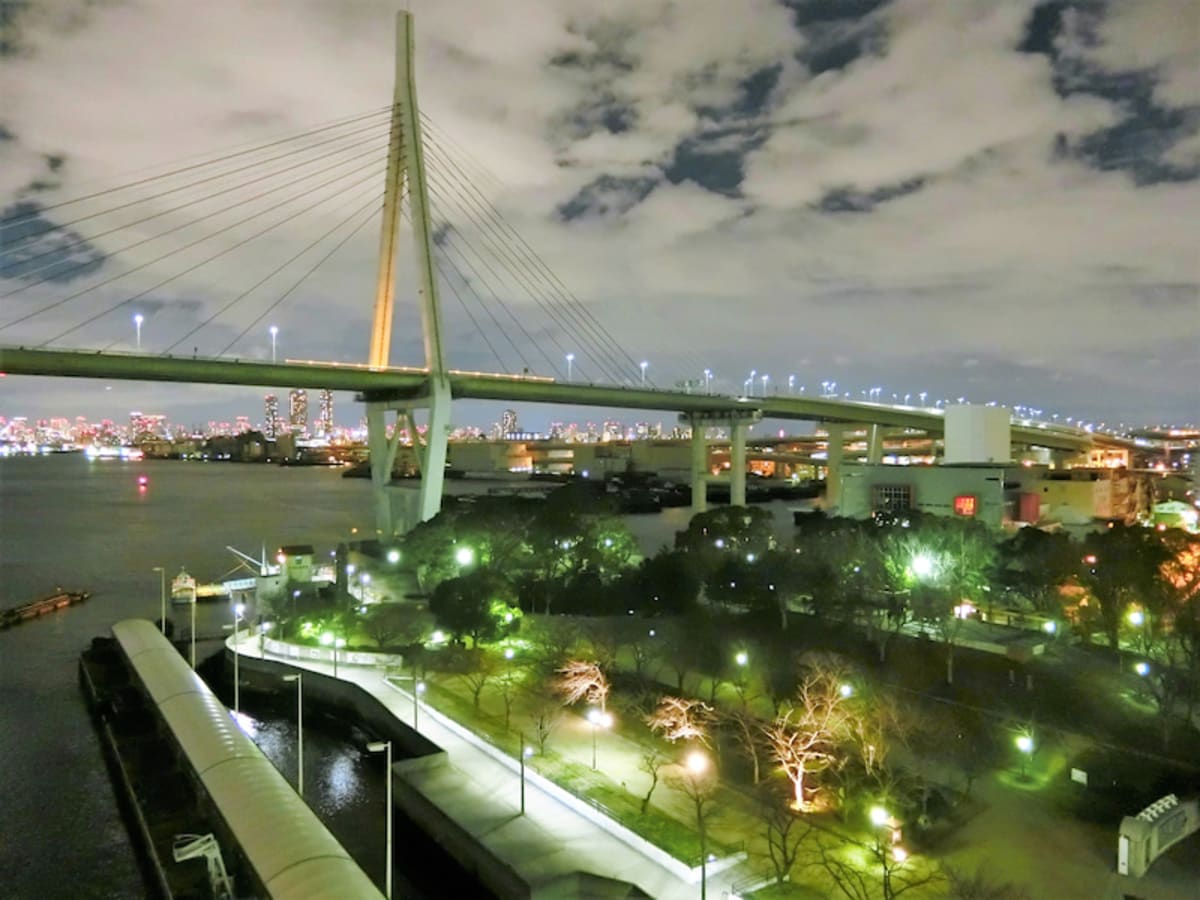 ダイヤモンドプリンセス  【動画あり】大阪港の夜景
