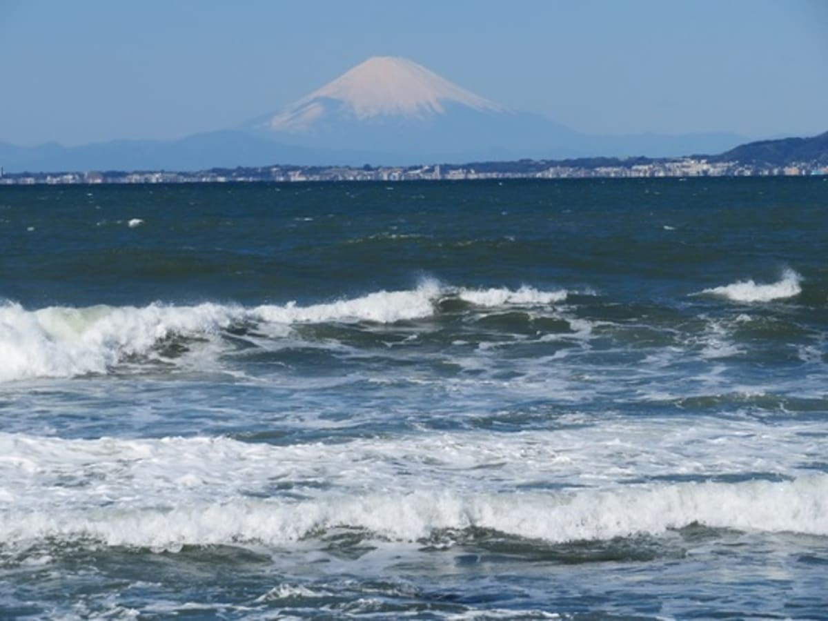 東京湾三隻乗り継ぎクルーズ その３ 金谷港から館山港へ Cruisemans