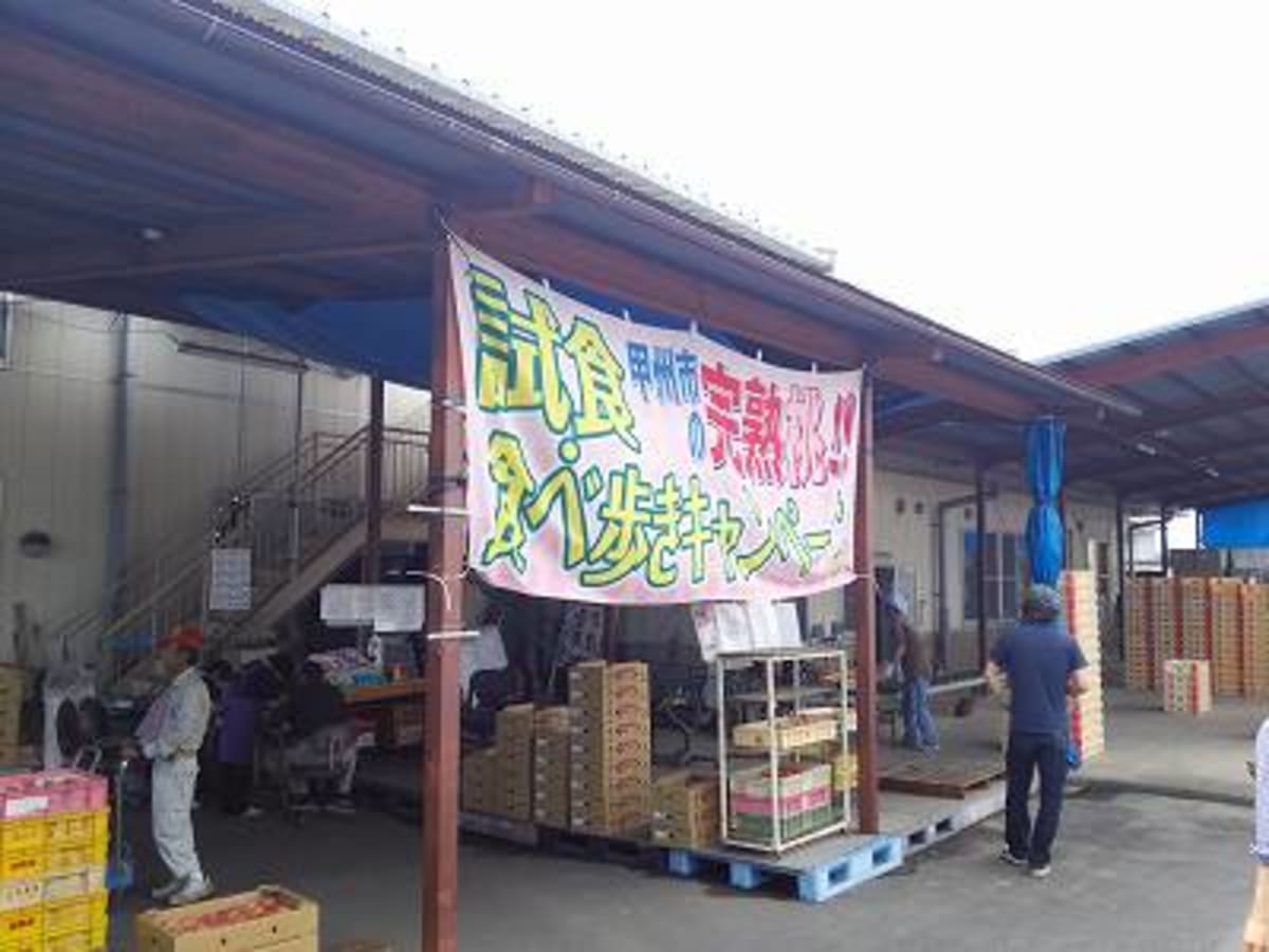 恒例、「桃の買出し」