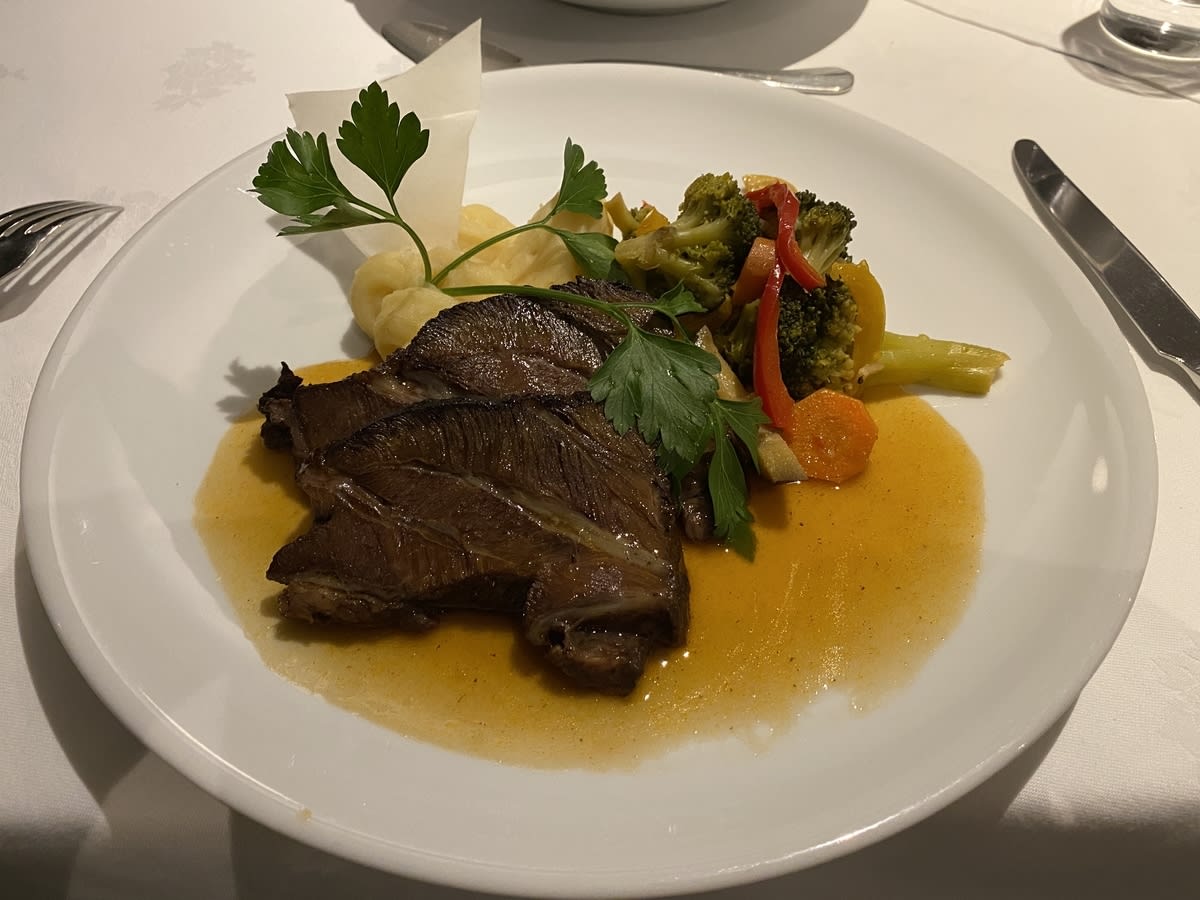 2019年10月ドナウ川クルーズ 2(ドナウ川遊覧と華やかなマリアテレジアの離宮) Cruisemans