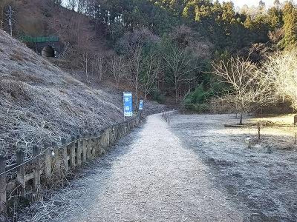 芦ヶ久保の氷柱