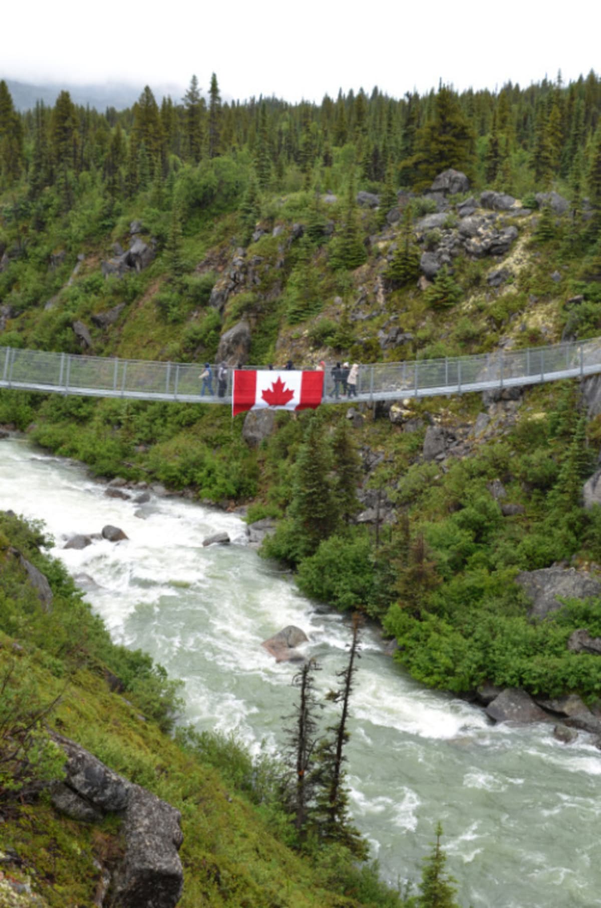 YukonSuspensionBridge（ユーコン吊り橋）はお天気が良かったらきっと良いはず！:ルビープリンセスアラスカクルーズ