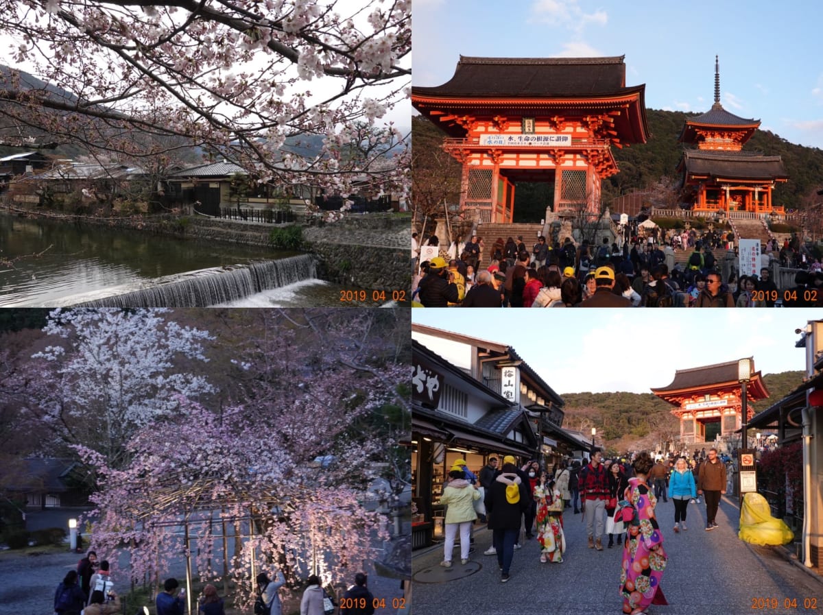 京都 嵐山、 清水寺の夕景です  外国人で一杯です。 | 神戸