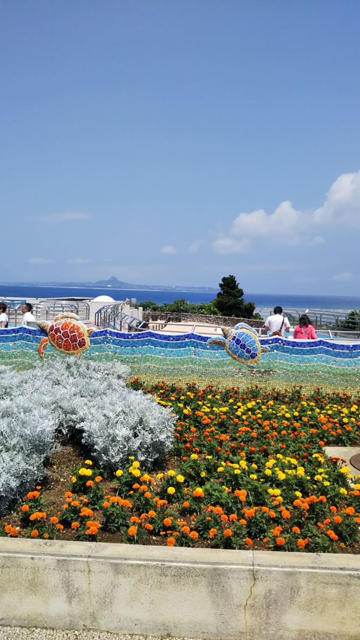 母たちは、美ら海水族館ツアーに参加しました。
ショアエクスカーションは、ご自身体力によって選びましょう。 | 那覇（沖縄）