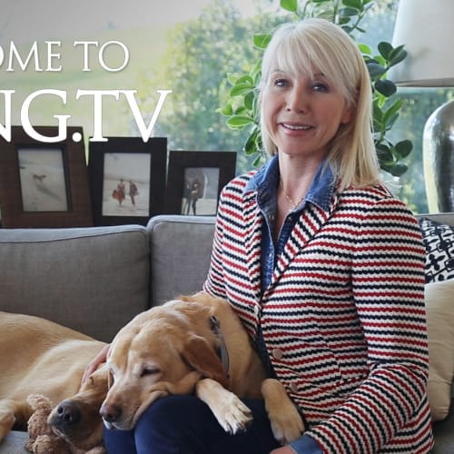 Viking.TV、文化コンテンツ放送開始6ヶ月、視聴者数200万人突破を祝う Cruisemans