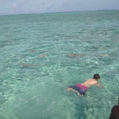 ボラボラ島 フランス領ポリネシアーソシエテ諸島 フランス のクルーズ旅行 口コミ 旅程 ニュース Cruisemans