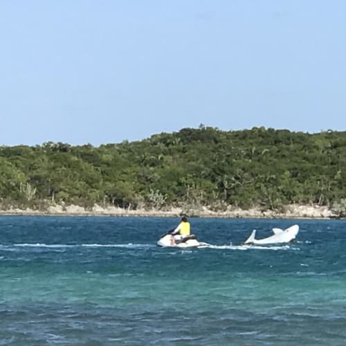 ハーフ ムーン ケイ リトル サン サルバドル島 バハマ のクルーズ旅行 口コミ 旅程 ニュース Cruisemans