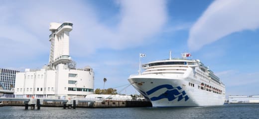 客船サン プリンセスのブログ Cruisemans