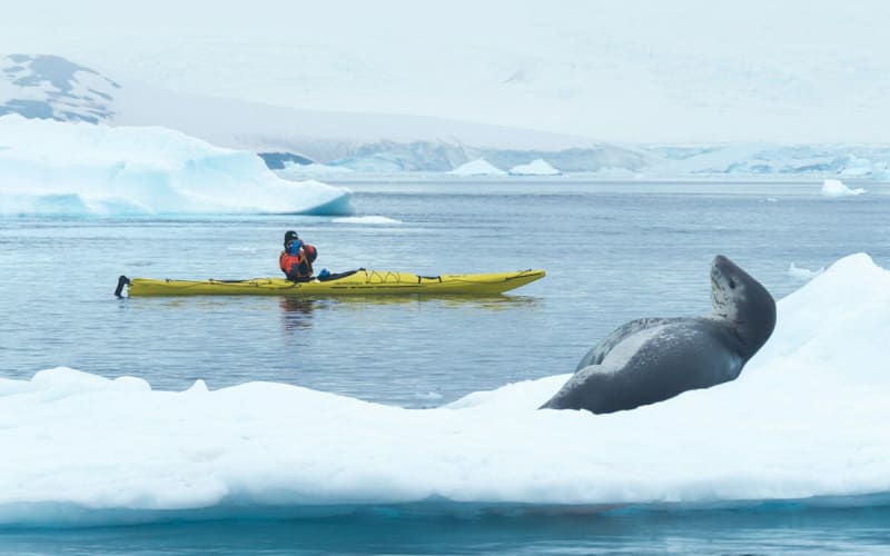 クォーク・エクスペディションズ、夏の極地アドベンチャーを大幅割引でご提供