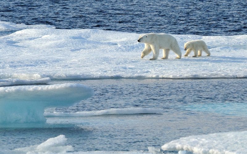 アドベンチャーズ・バイ・ディズニー、北極探検クルーズを発表！2023年には南極とガラパゴス諸島への航路も拡大