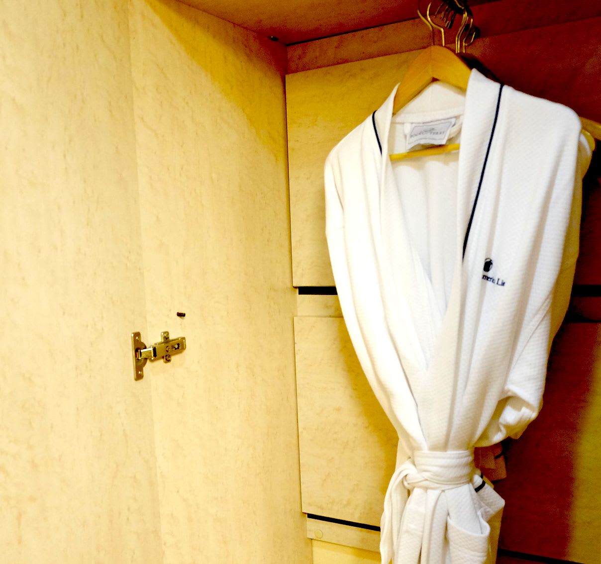 不安解消！心配無用！クルーズ船が安心して滞在できる理由【初心者向け】