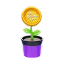 Yield Farming 

