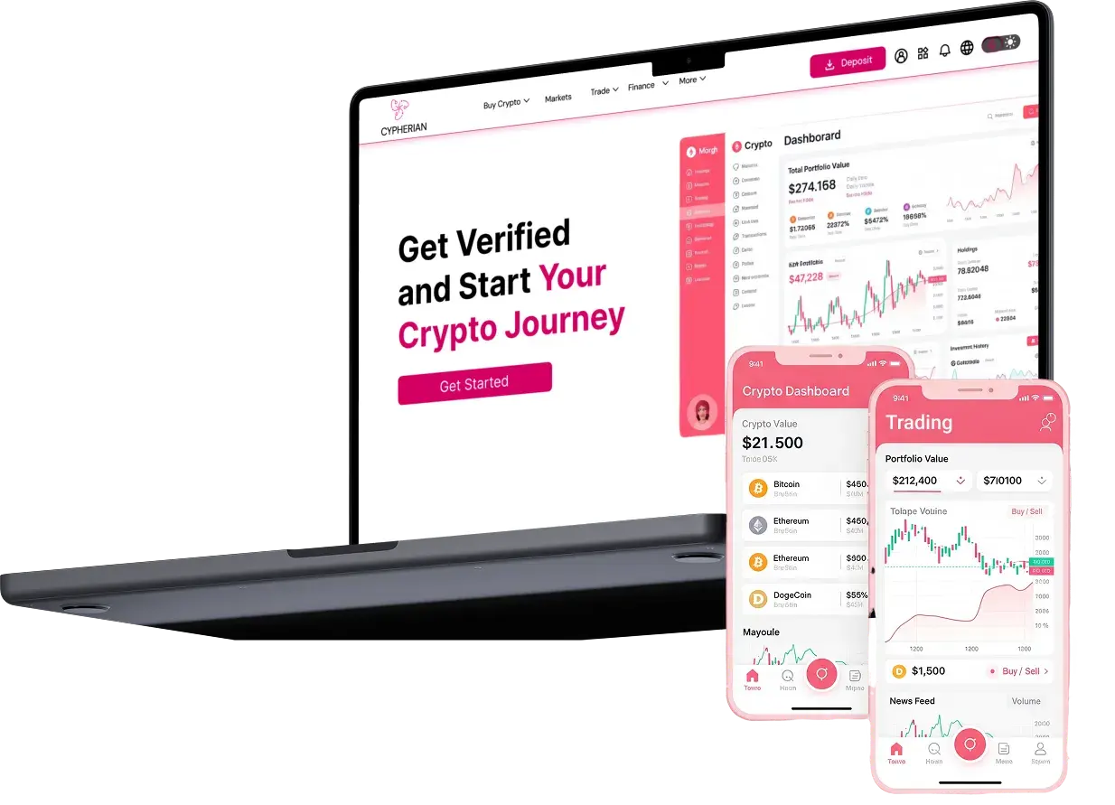 Binance clone script portfolio