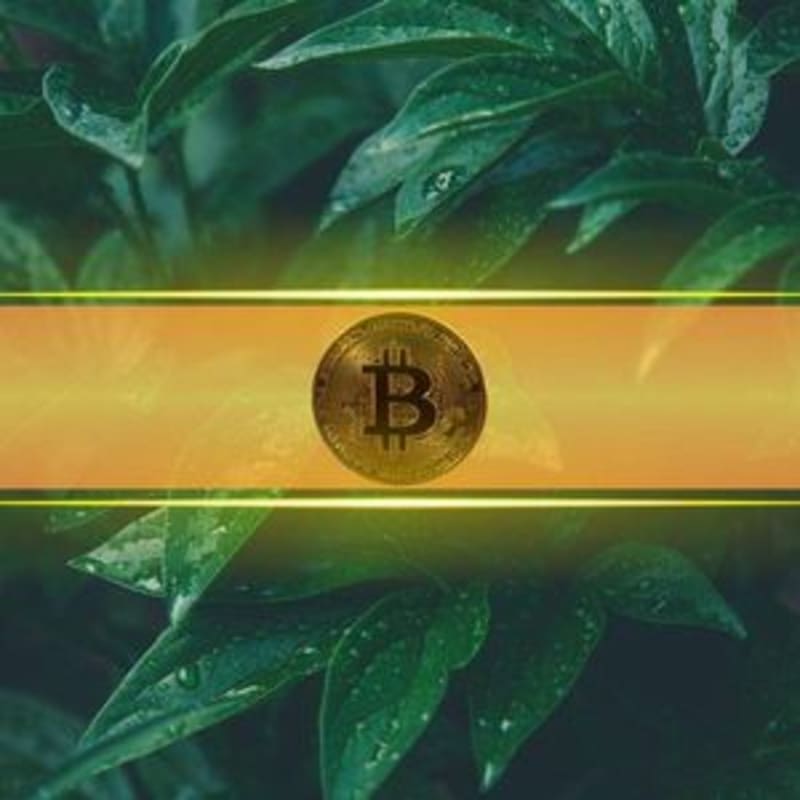 Bitcoin Flashes Bullish Signal That Could Push It to Next Big Target: Analyst