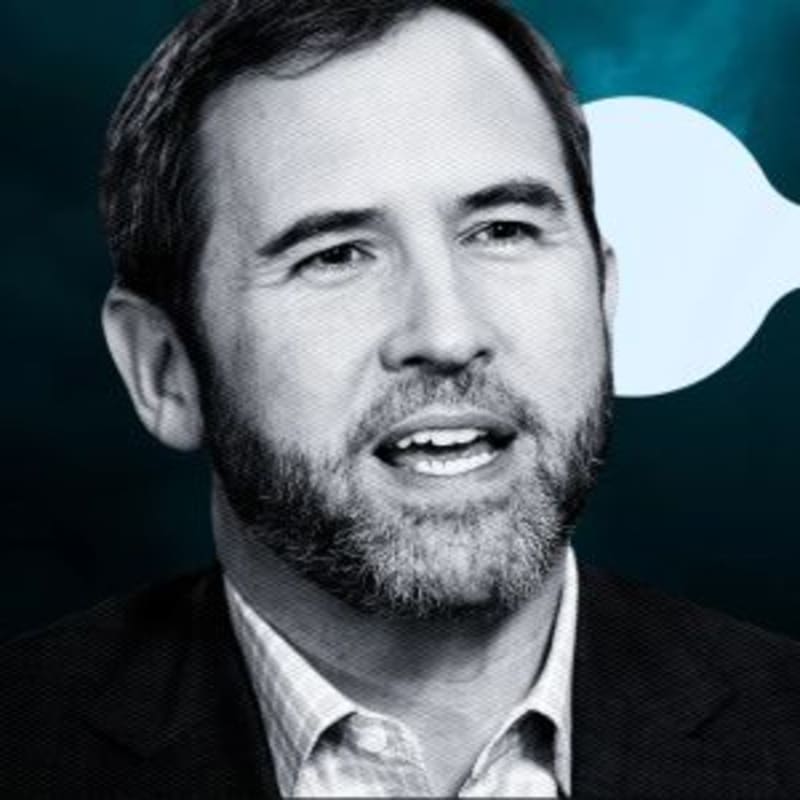 Ripple CEO Brad Garlinghouse goes against XRP maximalist ideology