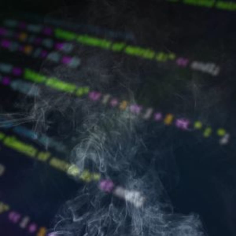 Malicious SAP npm packages target crypto wallet data