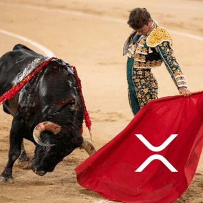 XRP Price Prediction: Bull Flag Forming as Bull Run Style Rally Coils