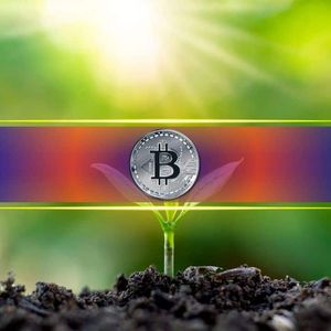 Zcash Surges, Challenging Bitcoin and Ethereum with Enhanced Privacy