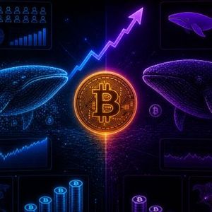 Anthony Pompliano Comments on Bitcoin Market Sentiment Amidst Price Fluctuations