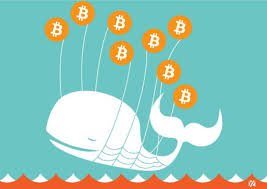 Over 496,261 Bitcoins Moved to Binance Cold Wallet