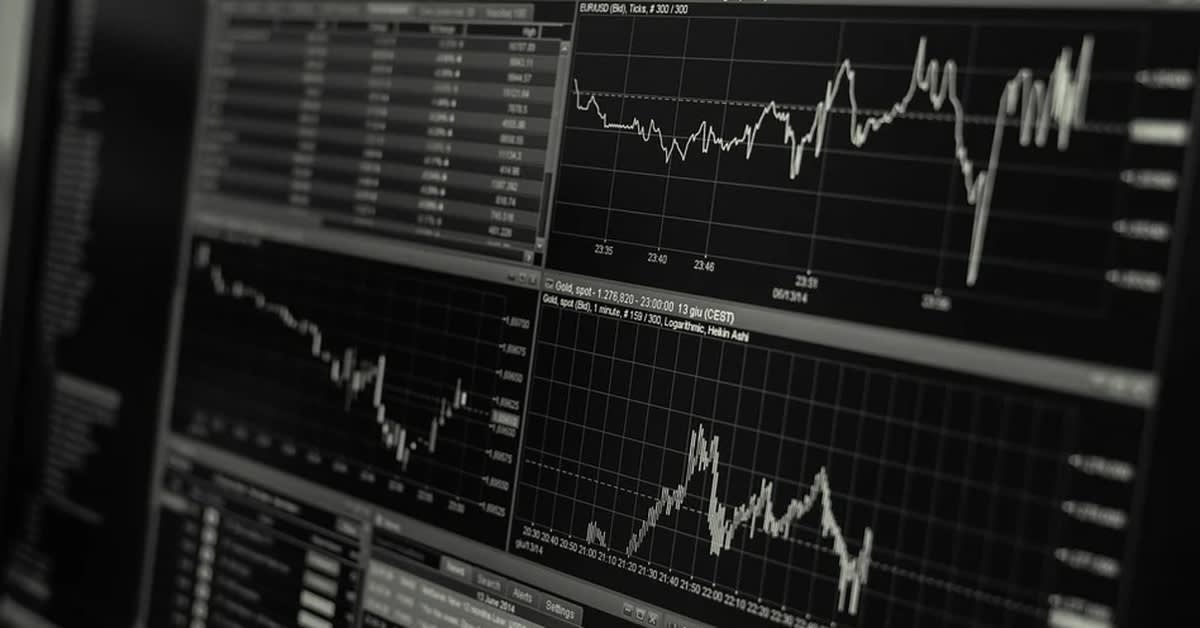 TRADING UPDATE: 19 AUGUST – 25 AUGUST