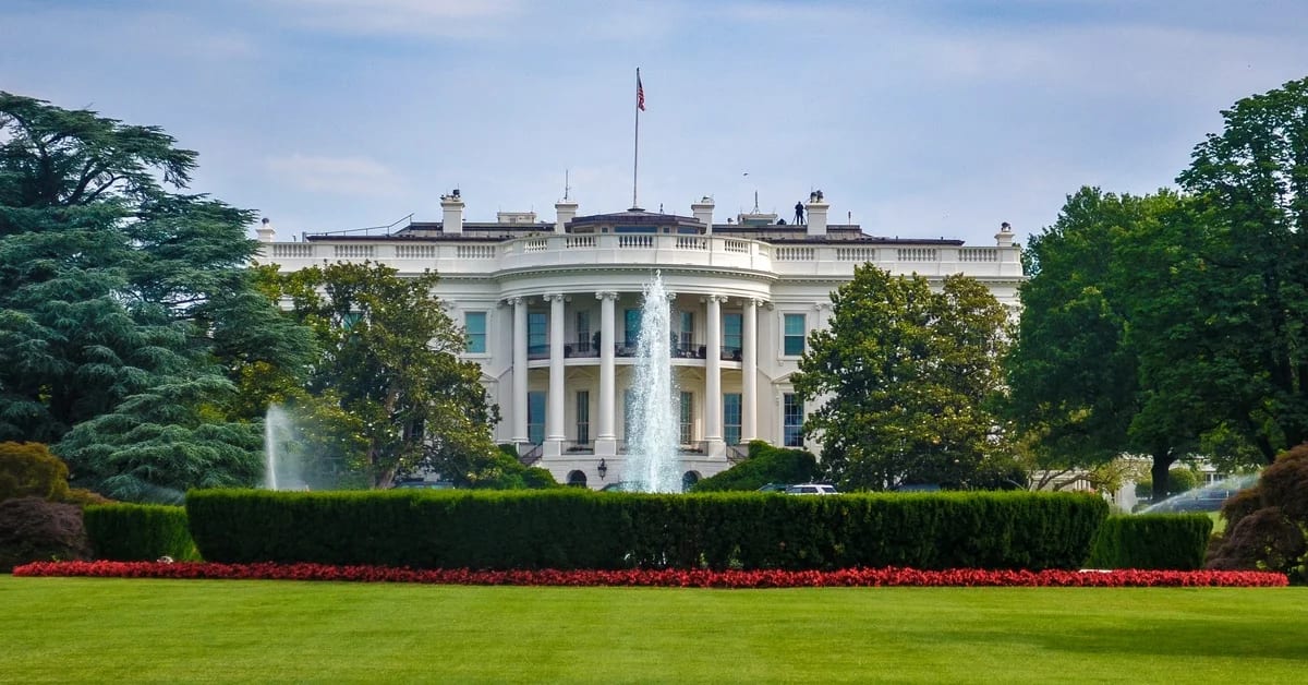 Bitcoin denier may lead US Treasury under Biden