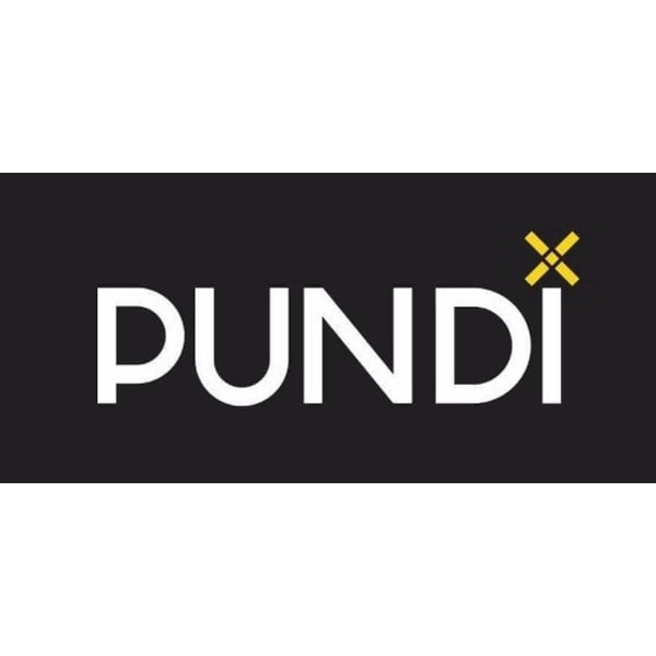 Pundi X logo
