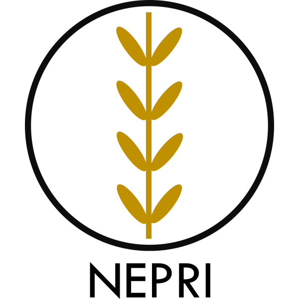 NEPRI Finance logo