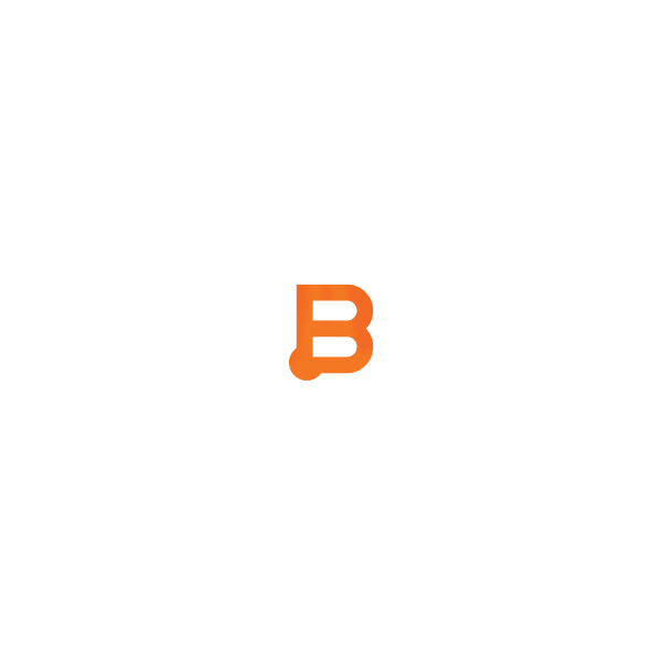 Business Instincts Group logo