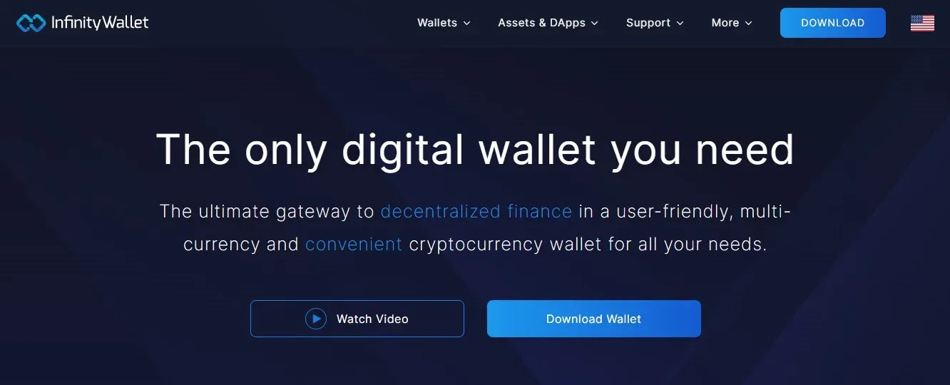 Infinity Wallet Review: Website Homepage