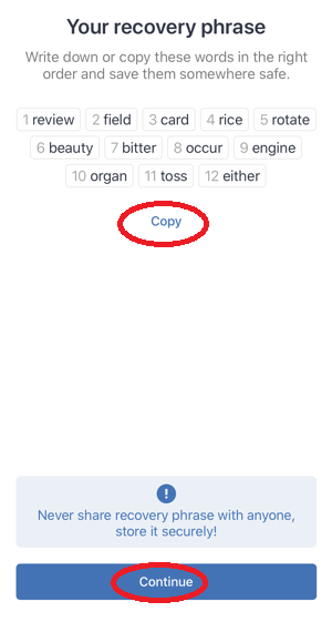 a screenshot of how to send bitcoin to trust wallet
