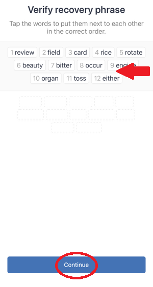 an in app image of how to send bitcoin to trust wallet