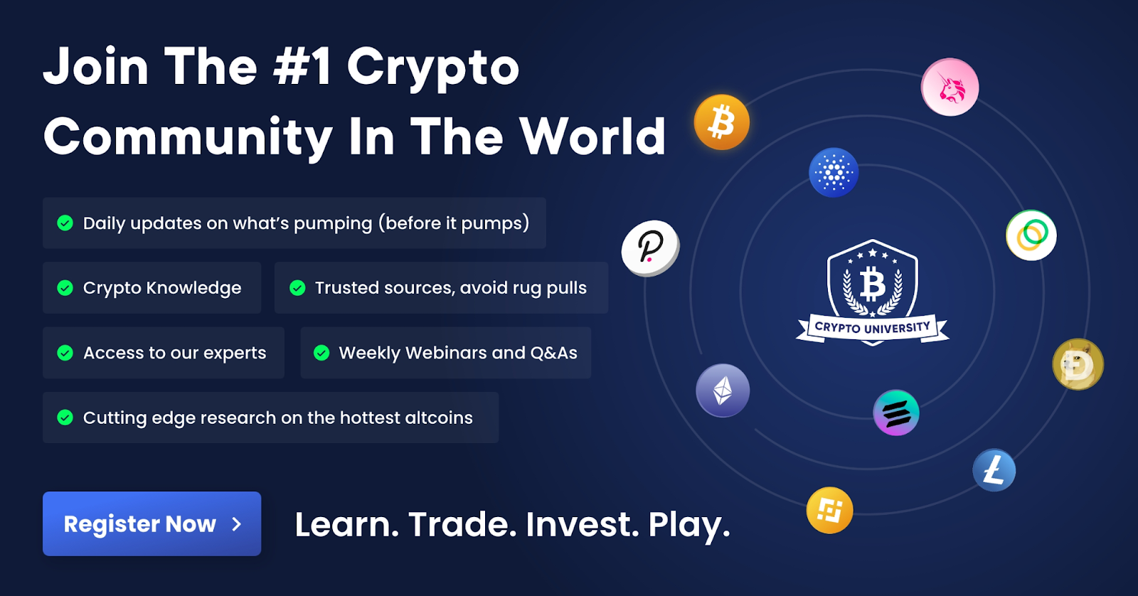 crypto university courses