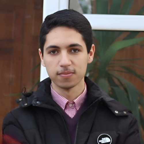 Mehdaoui Lokmane